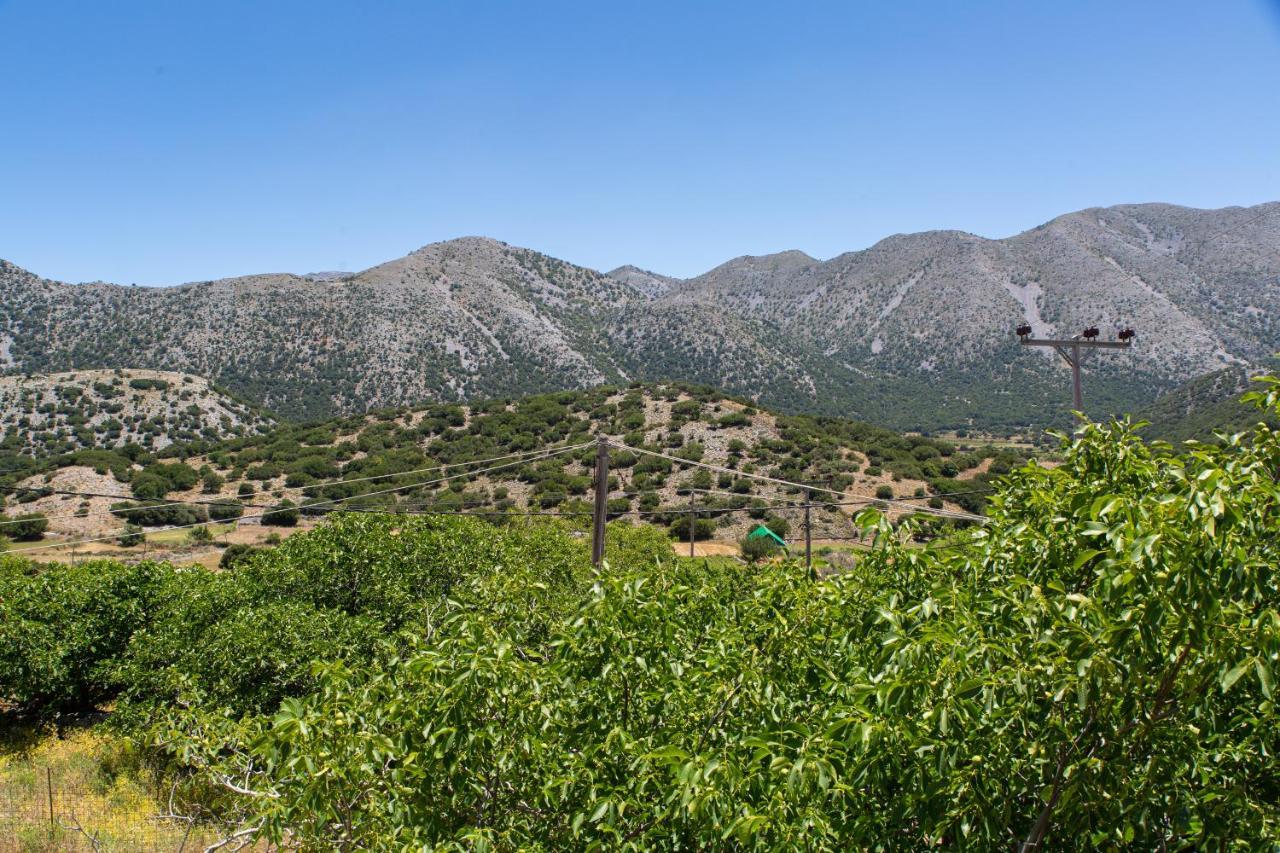 Villa Skyphos Αμμουδάρι Εξωτερικό φωτογραφία
